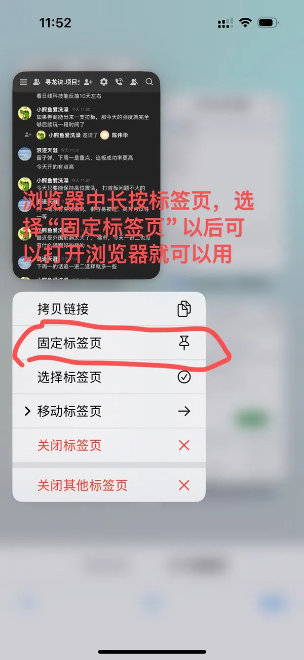 Revolt 加好友 步骤 5：固定标签页